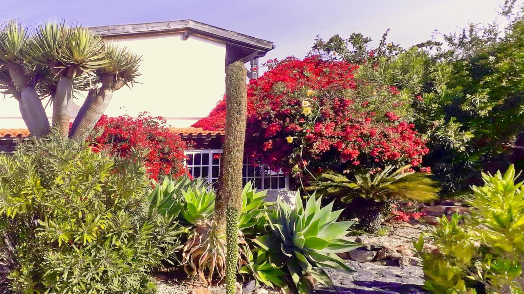 הוילה -Casa Azul-Arico Viejo La Sabinita - Baden, Wandern, Klettern, Individualurlaub Jenseits Des Massentourismus, מראה חיצוני תמונה