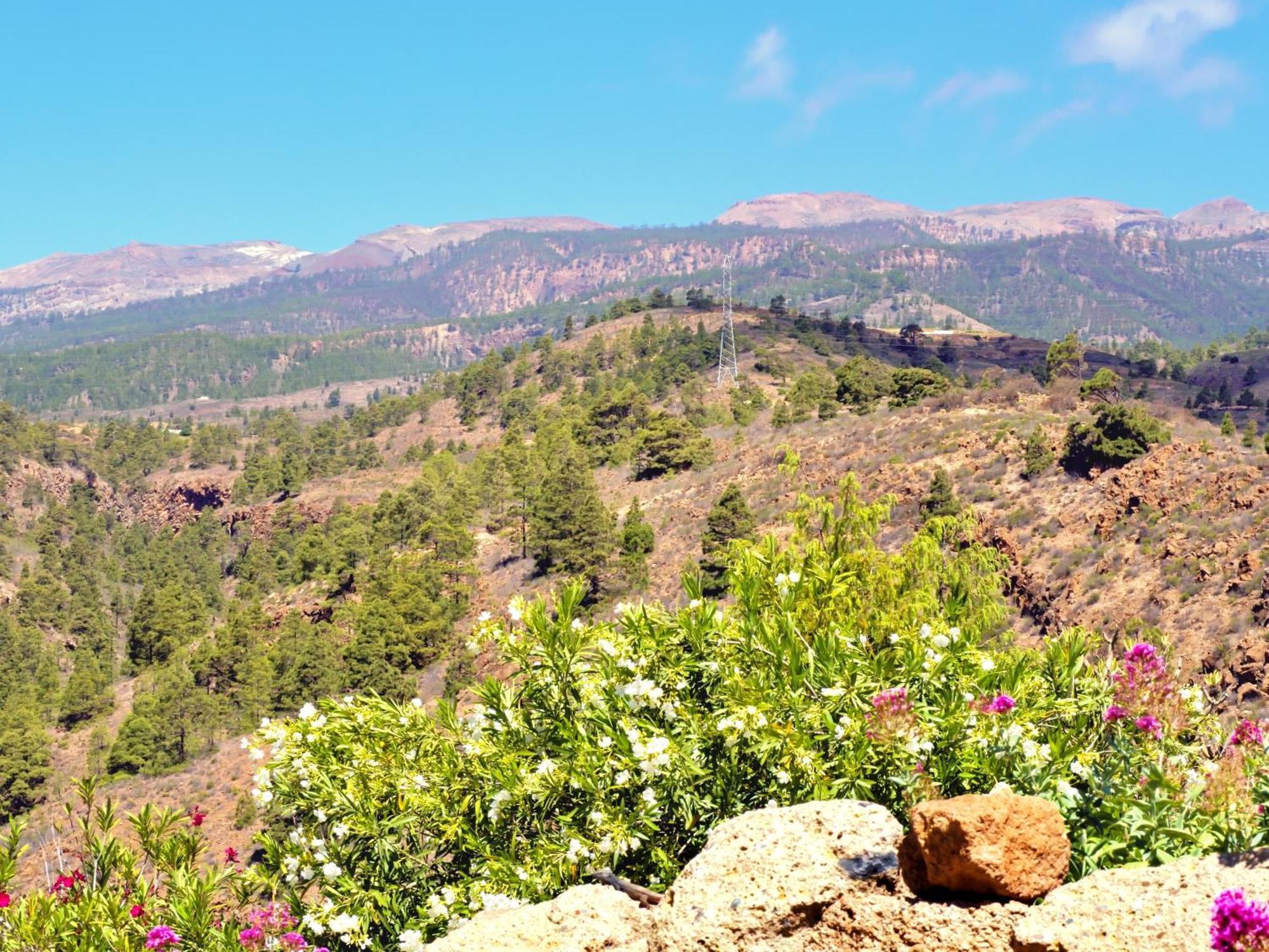 הוילה -Casa Azul-Arico Viejo La Sabinita - Baden, Wandern, Klettern, Individualurlaub Jenseits Des Massentourismus, מראה חיצוני תמונה