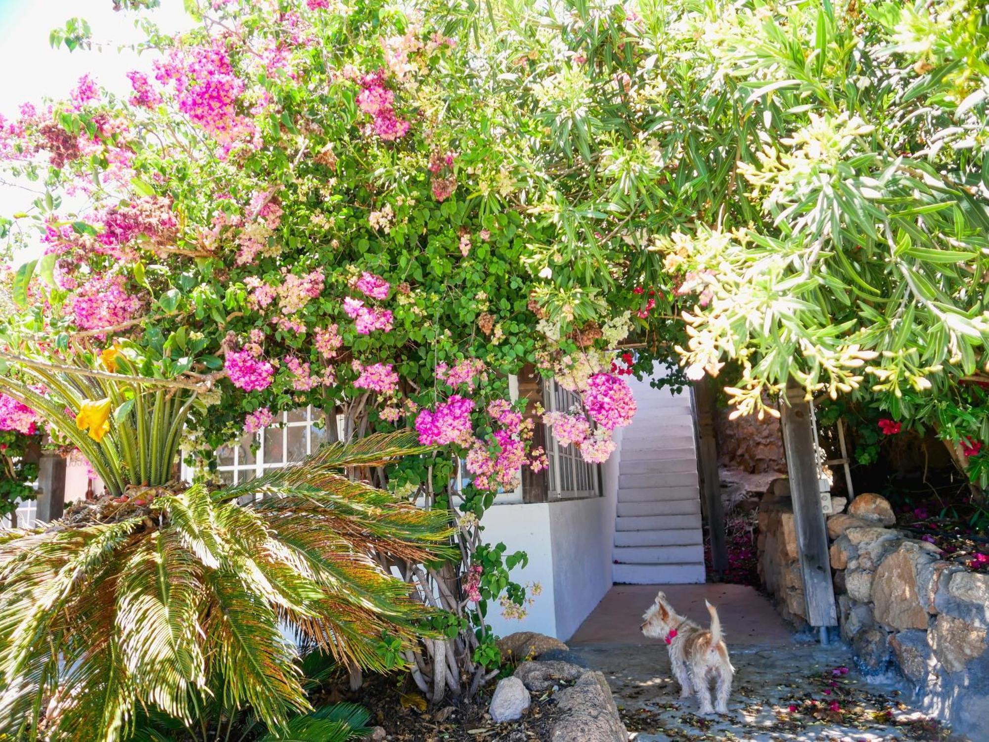 הוילה -Casa Azul-Arico Viejo La Sabinita - Baden, Wandern, Klettern, Individualurlaub Jenseits Des Massentourismus, מראה חיצוני תמונה