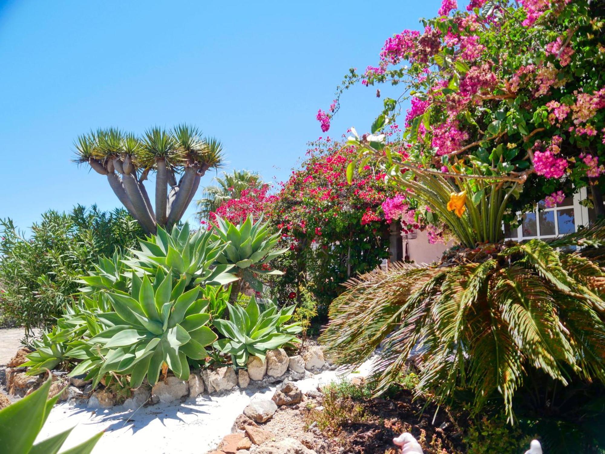 הוילה -Casa Azul-Arico Viejo La Sabinita - Baden, Wandern, Klettern, Individualurlaub Jenseits Des Massentourismus, מראה חיצוני תמונה